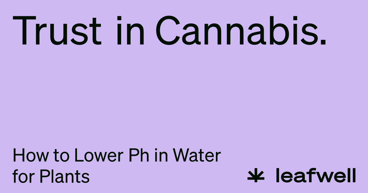How to Lower Ph in Water for Plants